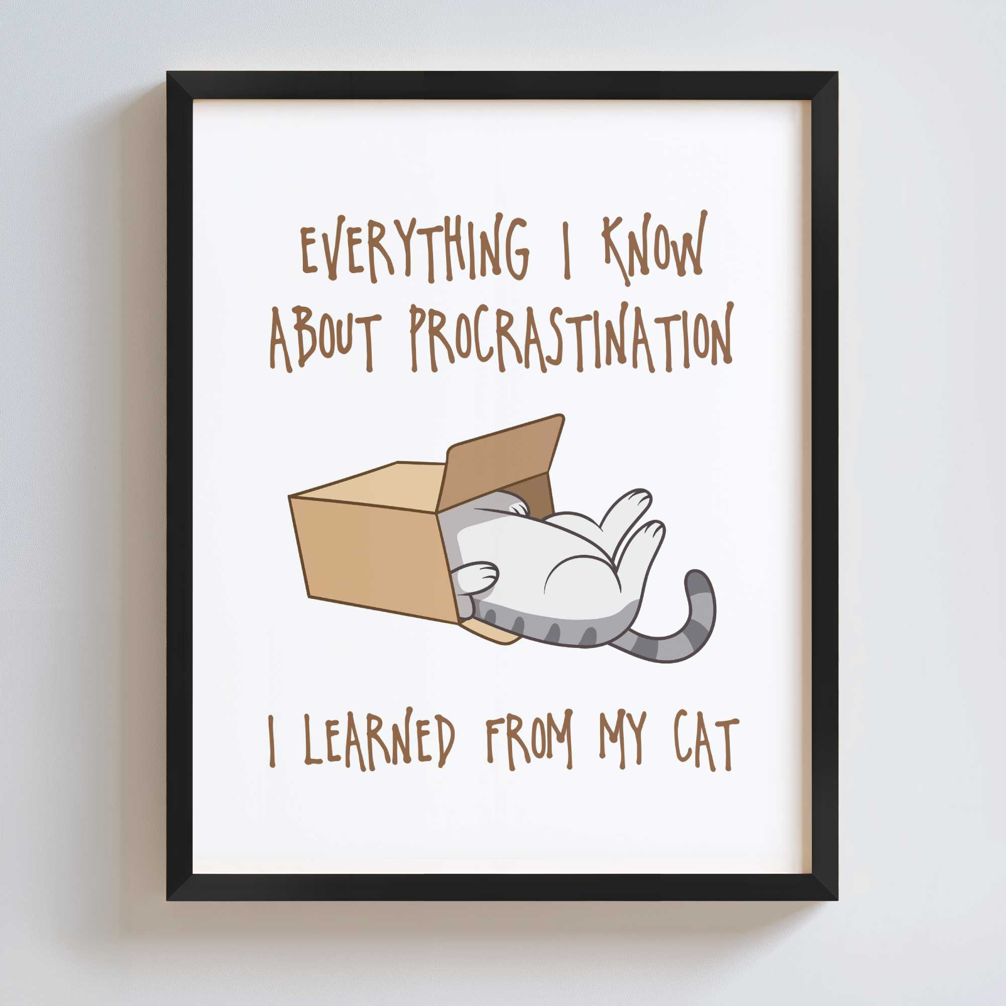 Framed print with a cat in a box and humorous text on a white background